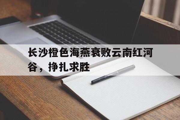 长沙橙色海燕衰败云南红河谷，挣扎求胜的简单介绍